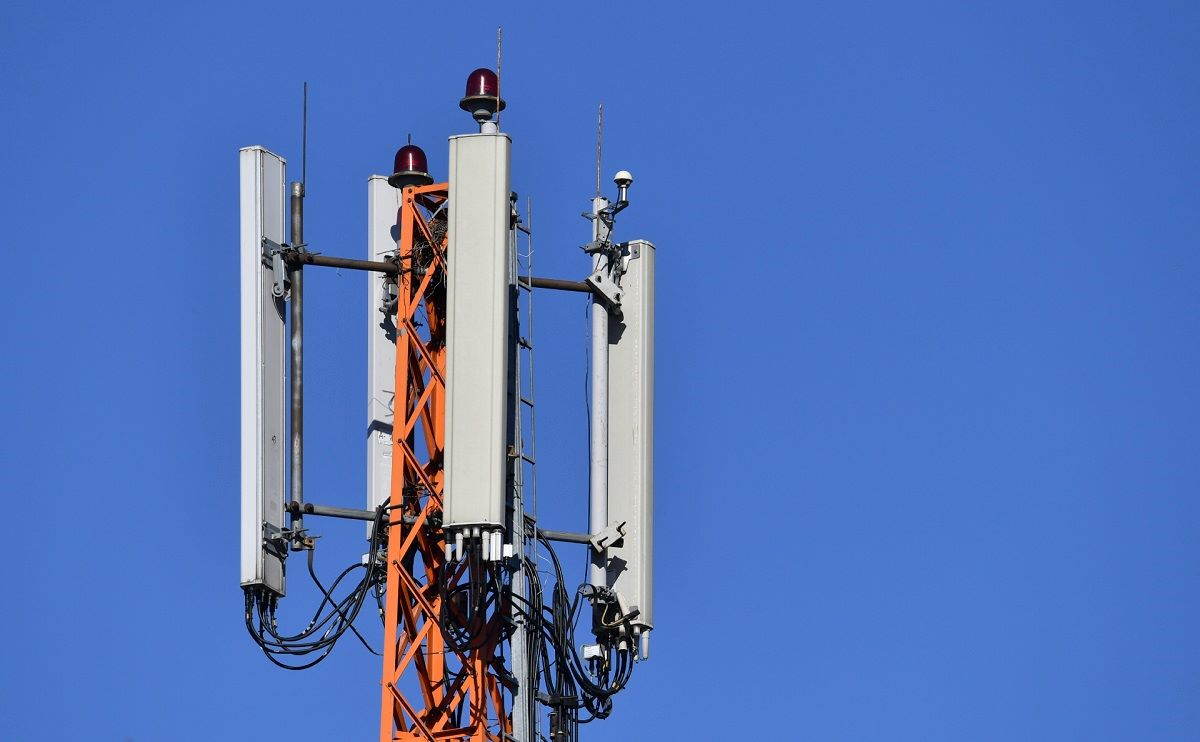 Фото: Михаил Воскресенский / РИА «Новости»