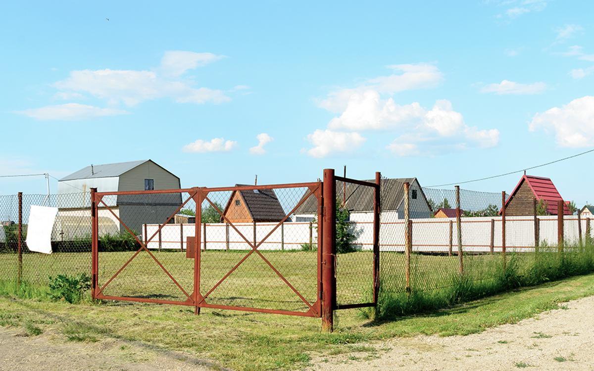 Фото: Dmitry Sedakov / Shutterstock / FOTODOM