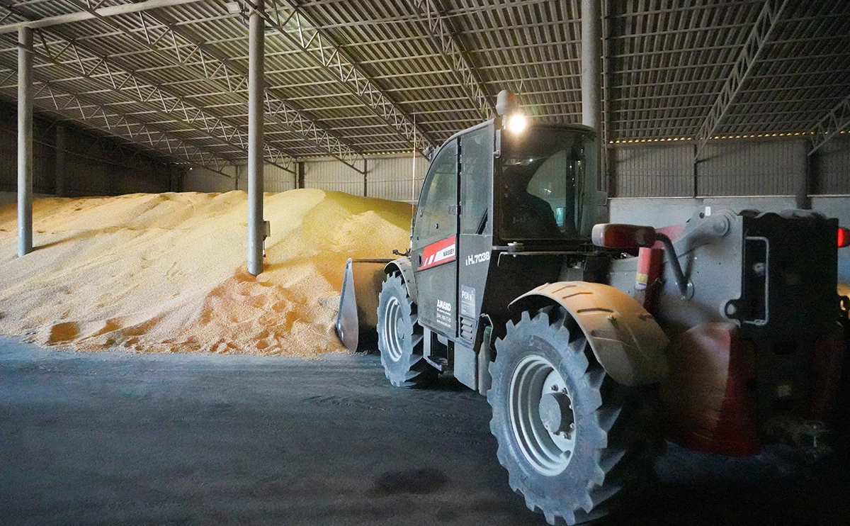 Андрей Рубцов / ТАСС