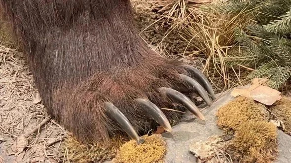 РБК Приморье