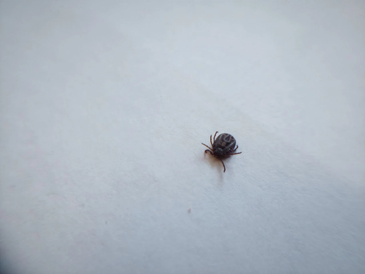 РБК Приморье