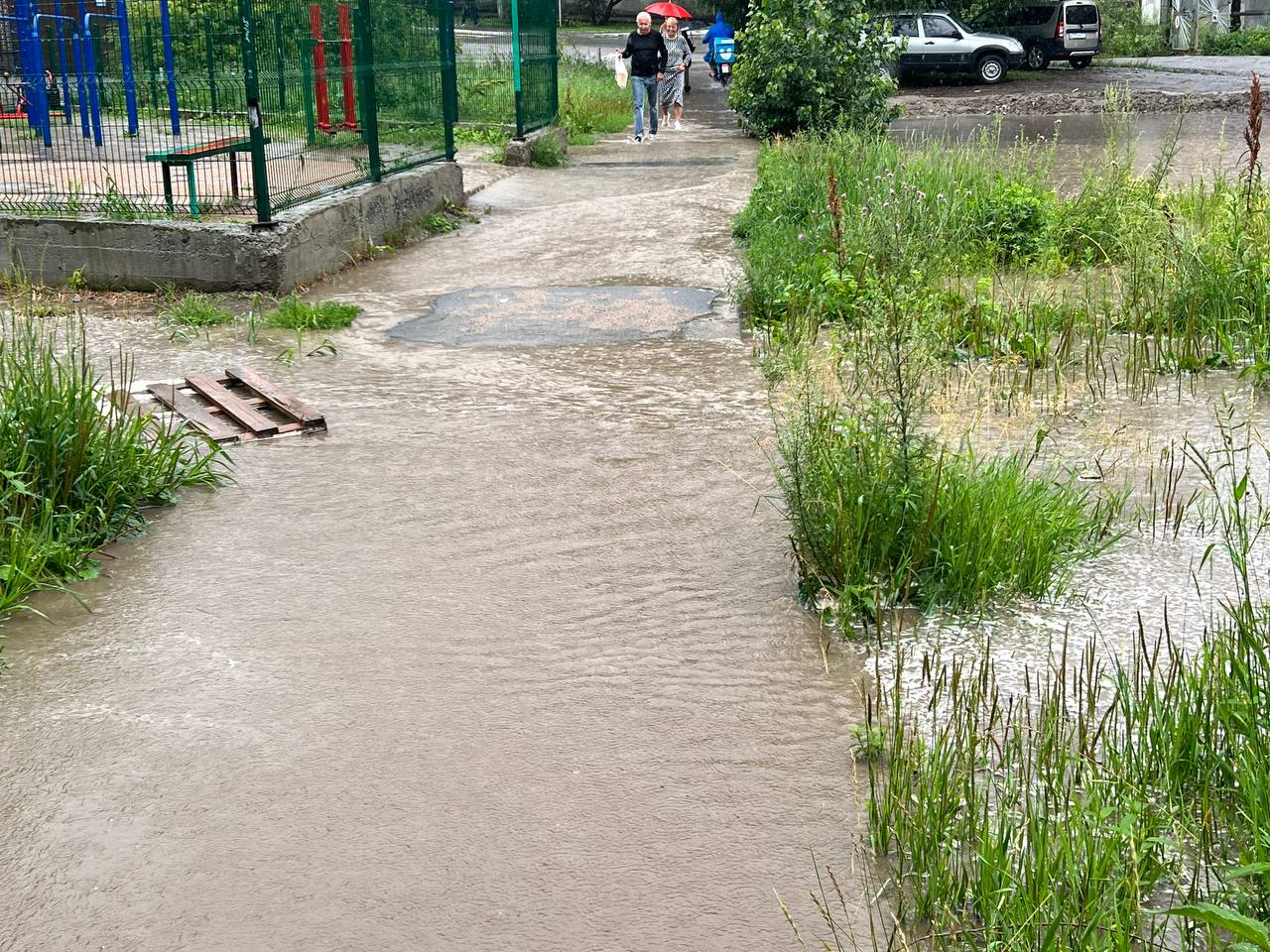 Фото: Михаил Шестаков / РБК Новосибирск