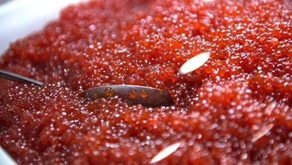 Правительство Камчатского края