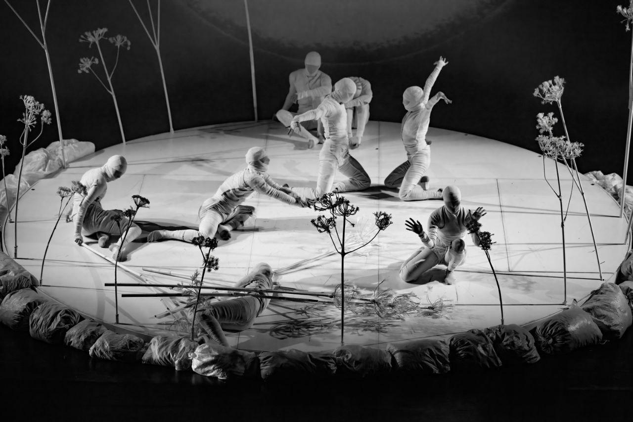 Танцевальный спектакль «Озеро» 