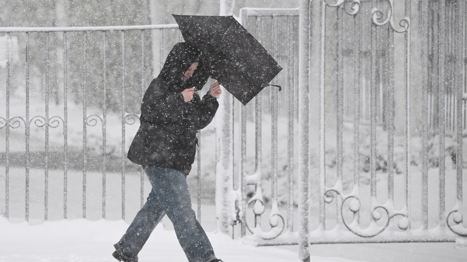 Москвичей призвали сидеть дома. Во всем виновата непогода