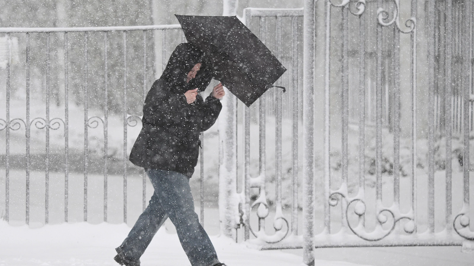 Москвичей призвали сидеть дома. Во всем виновата непогода