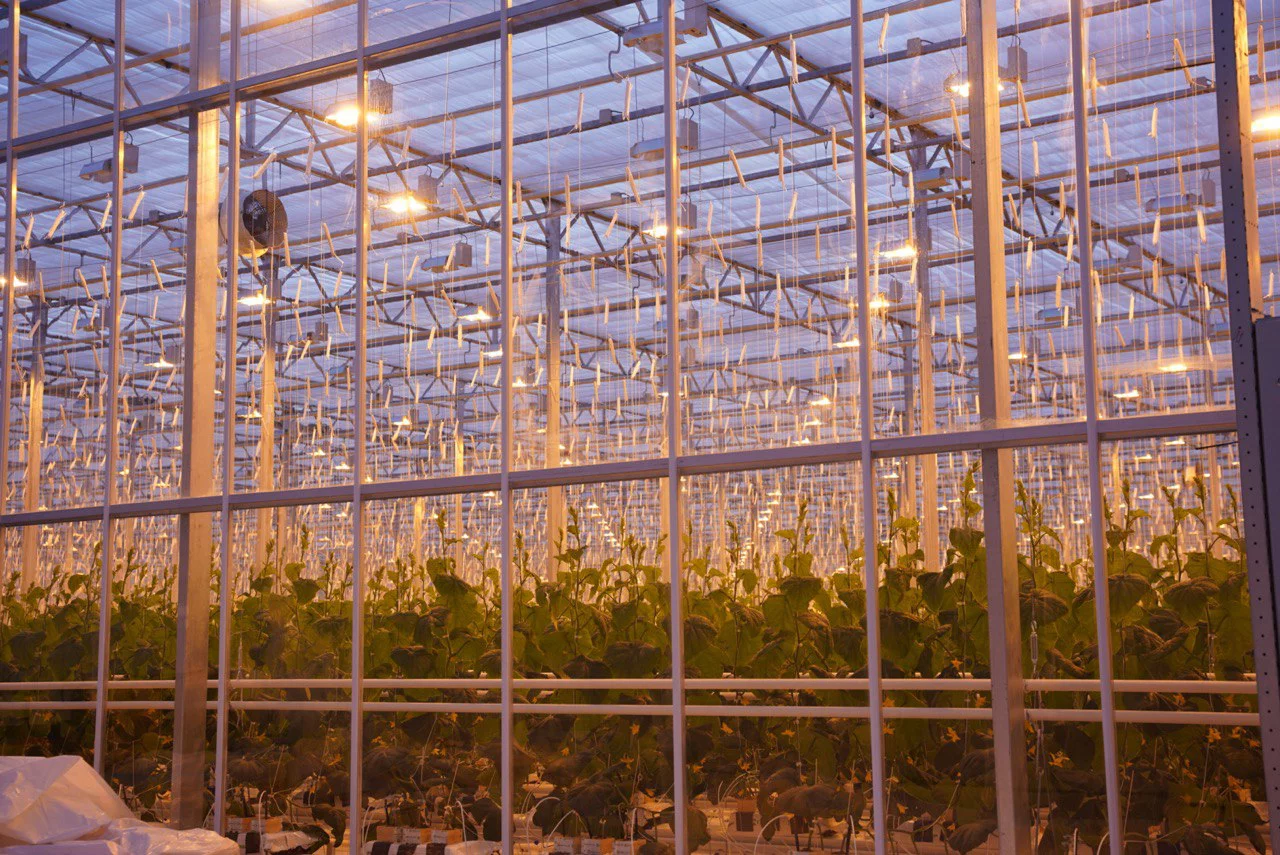 Правительство Камчатского края