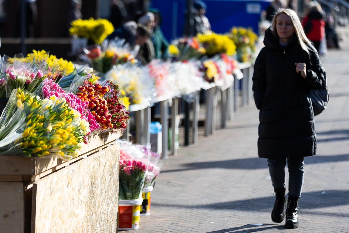 Александр Подгорчук