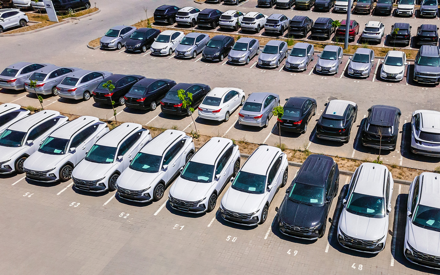 Фото: Franchesko Mirroni / Shutterstock / FOTODOM