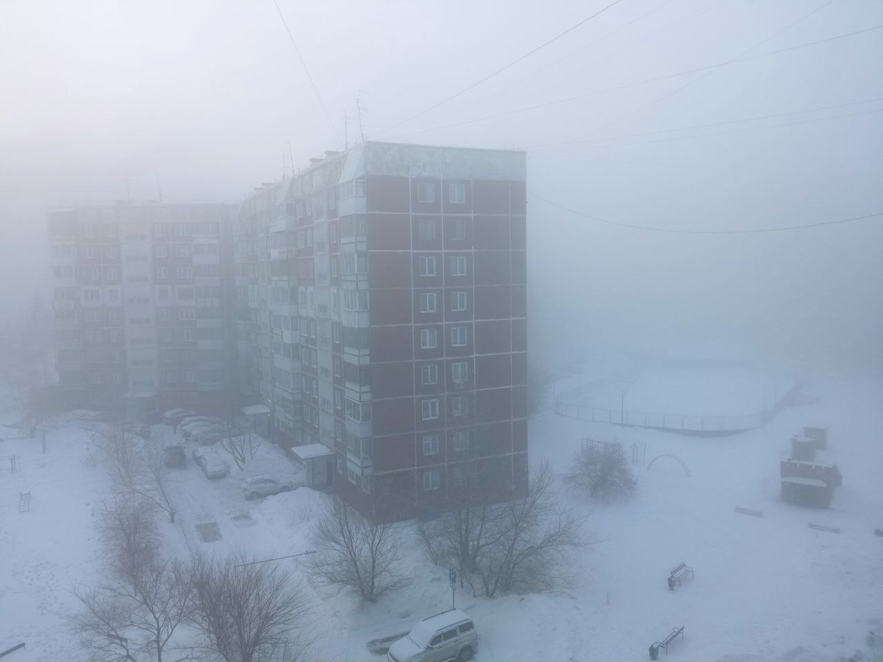 Фото: РБК Новосибирск