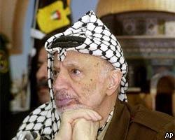 Ради выборов в Израиле Арафат прекратит теракты