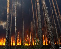 Власти подтвердили, что горят и зараженные радиацией леса 