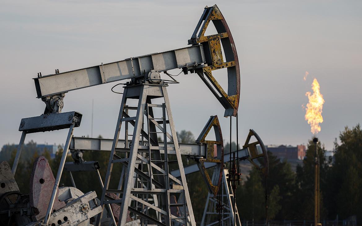 Новак допустил стоимость нефти $100 за баррель в 2035 году