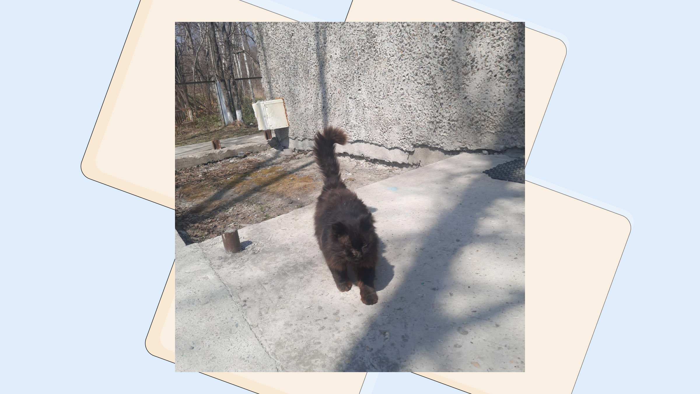 Жыныстық қатынас кезінде ыңылдаған бейне Лесби жопадағы порно шарлар