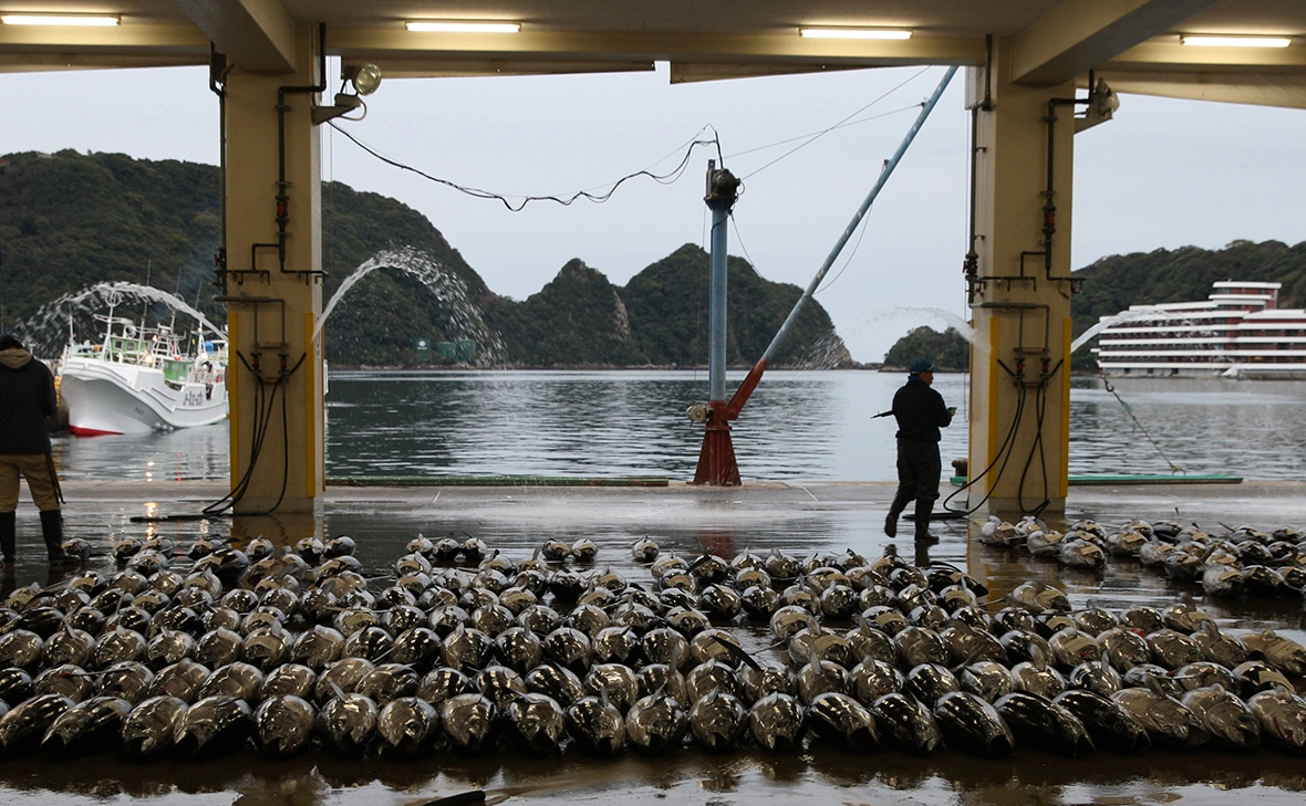 Buddhika Weerasinghe / Getty Images