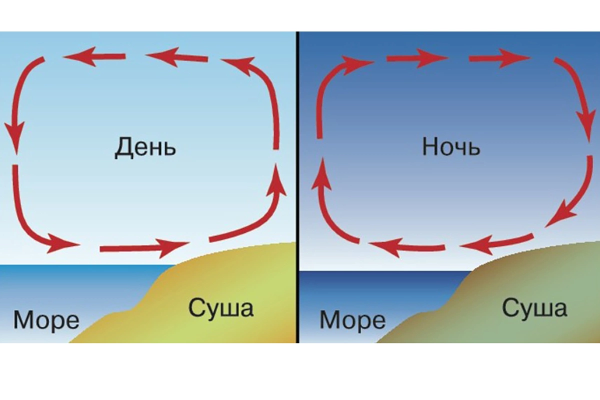 Схема бризовой циркуляции атмосферы