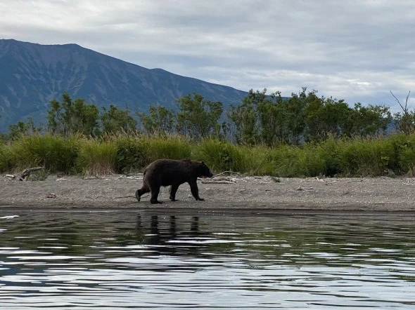 РБК Приморье