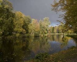 Фото: РБК