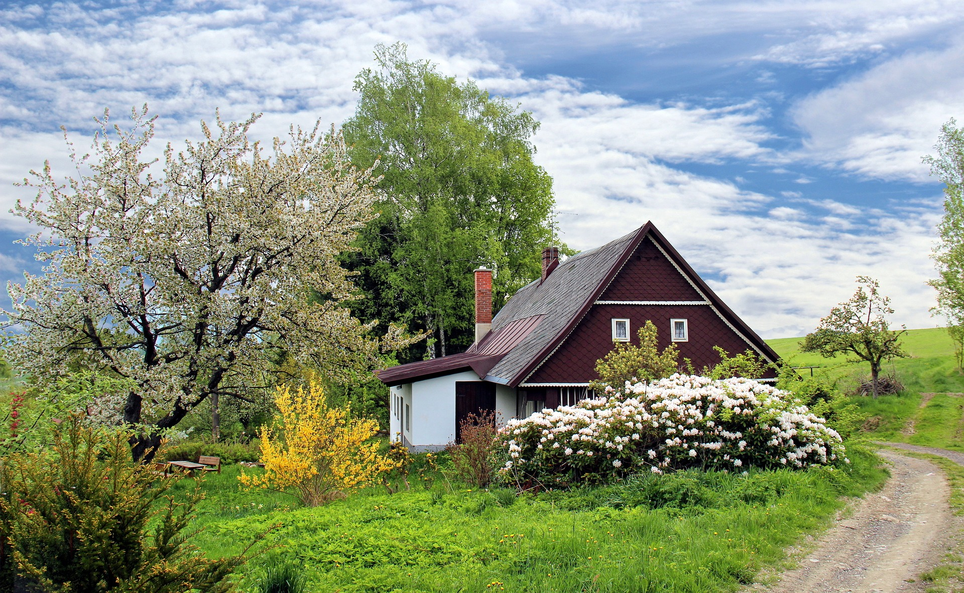 В отличие от коттеджа на дачном участке можно высадить сад или огород, обустроить зону отдыха с шезлонгами
