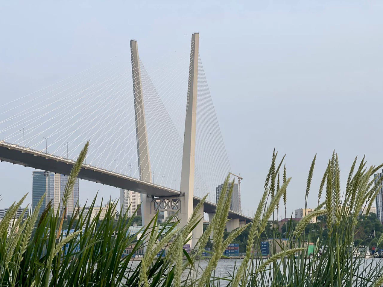 РБК Приморье