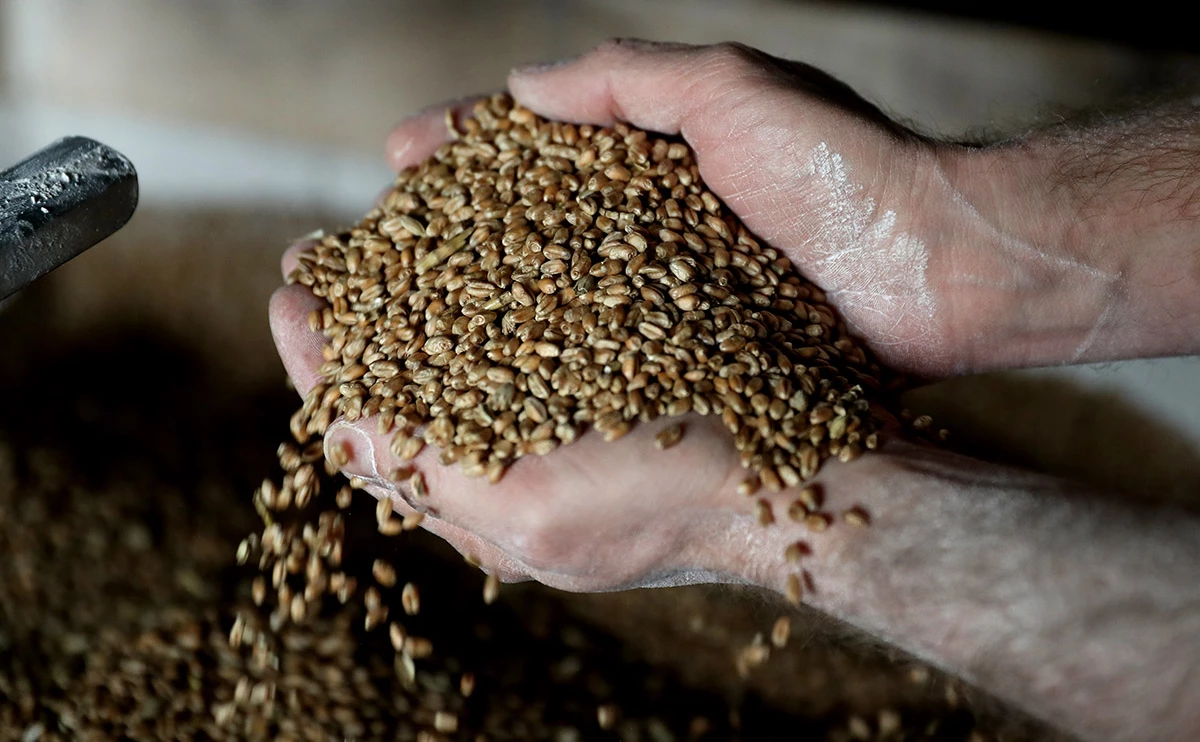 David Rogers / Getty Images