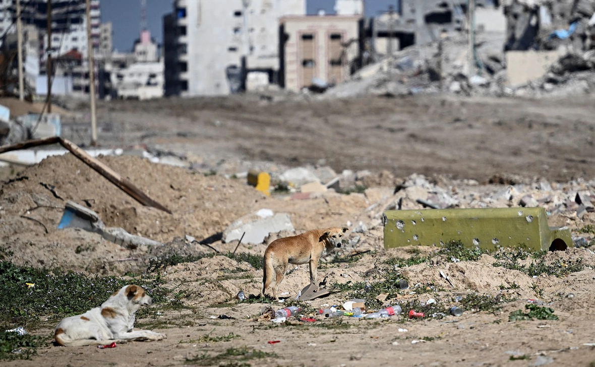 Dylan Martinez / Reuters