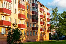 Фото: Vera Aksionava / Shutterstock / FOTODOM