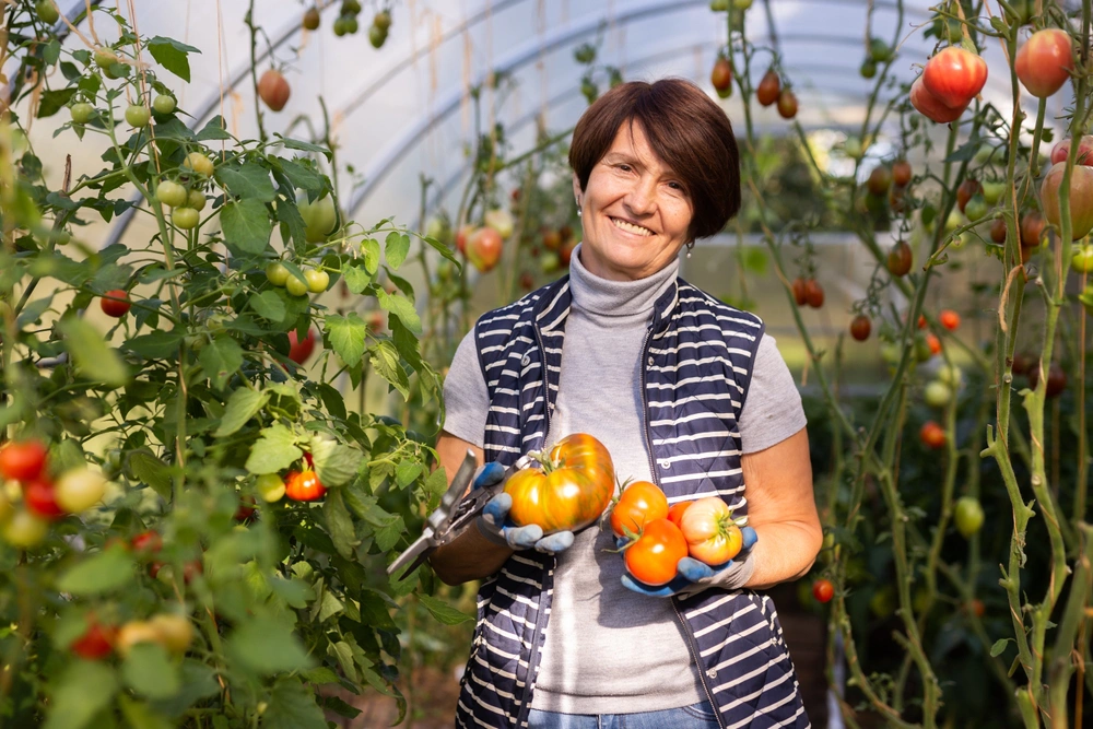 Можно доставлять односельчанам продукты из районного центра, забирать посылки с почты или маркетплейсов, оказывать услуги такси