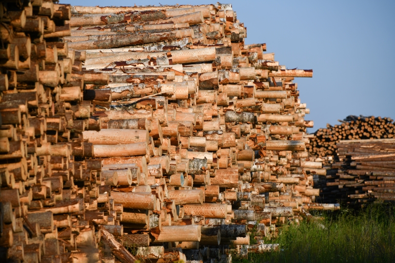 Фото: Александр Манзюк / ТАСС