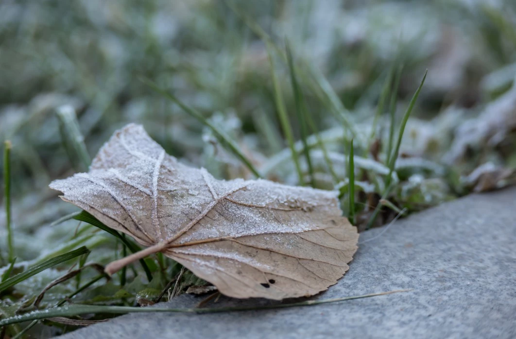 Руслан Яроцкий / URA.RU
