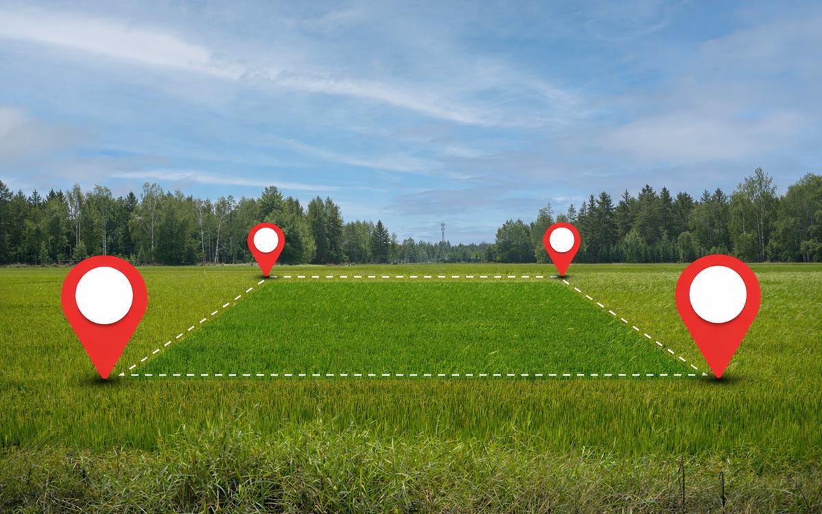 Фото: jittawit21 / Shutterstock / FOTODOM