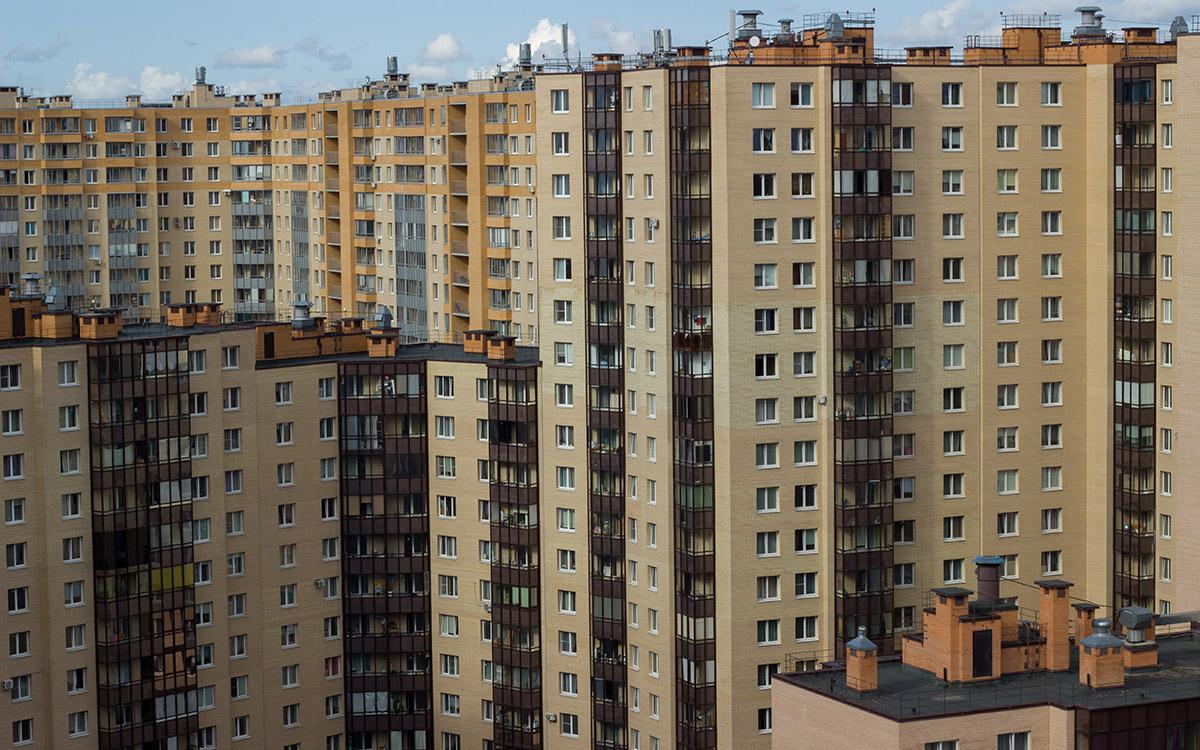 Фото: Shraybikus22 / Shutterstock / FOTODOM