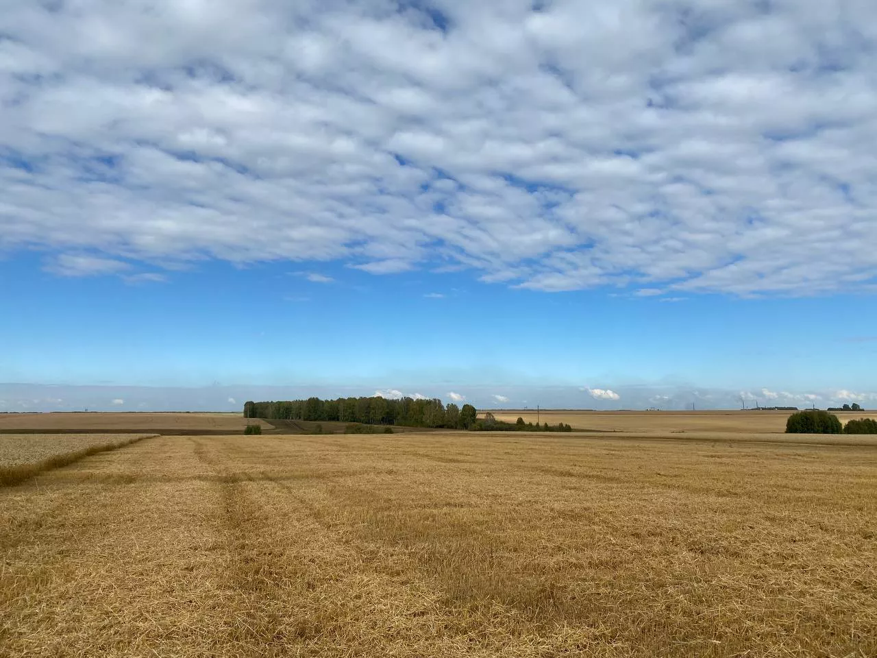 пресс-служба правительства Новосибирской области