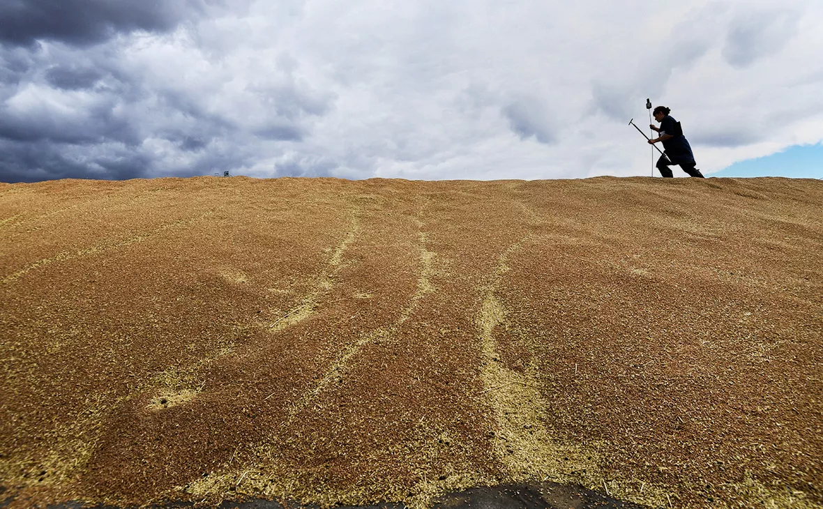 Александр Кряжев / РИА Новости