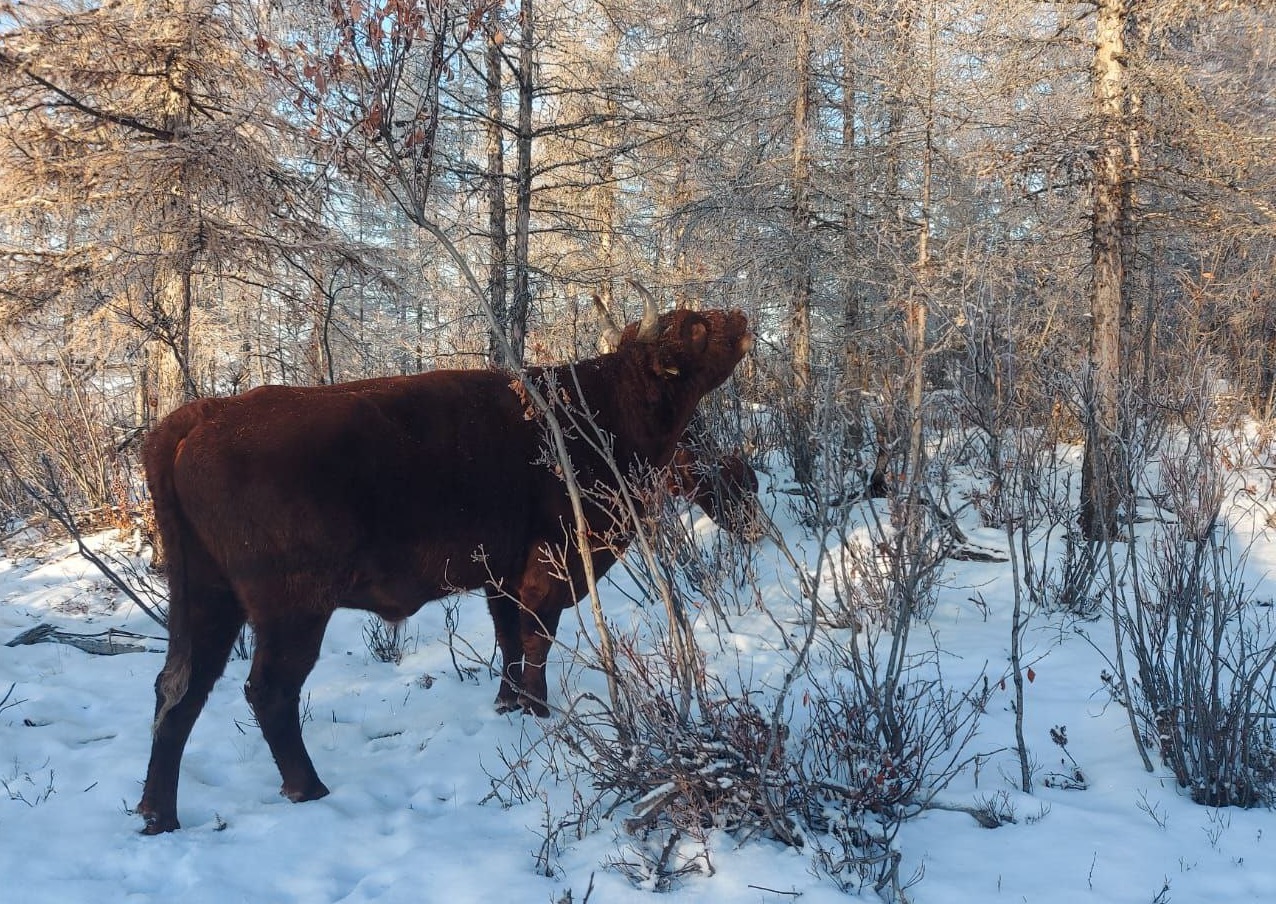 Фото: Иван Исмайлов