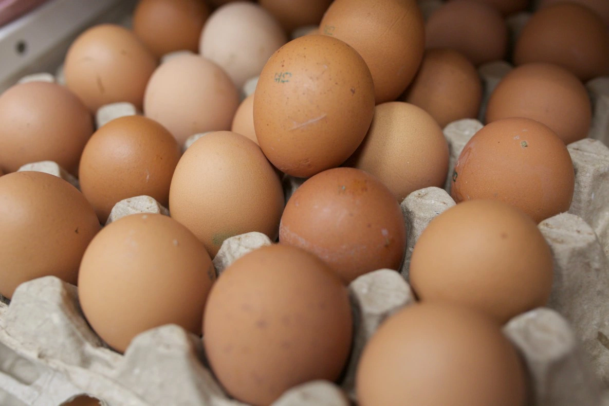 Денис Моргунов / URA.RU