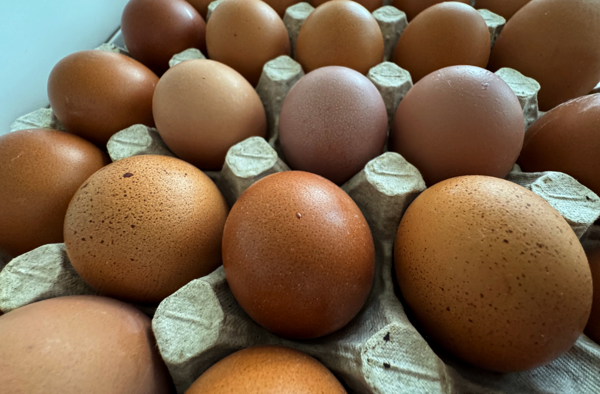 Екатерина Сычкова / РИА URA.RU