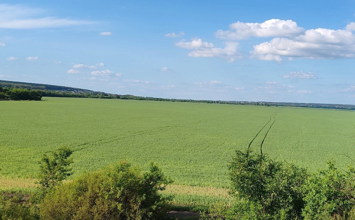 РБК Черноземье