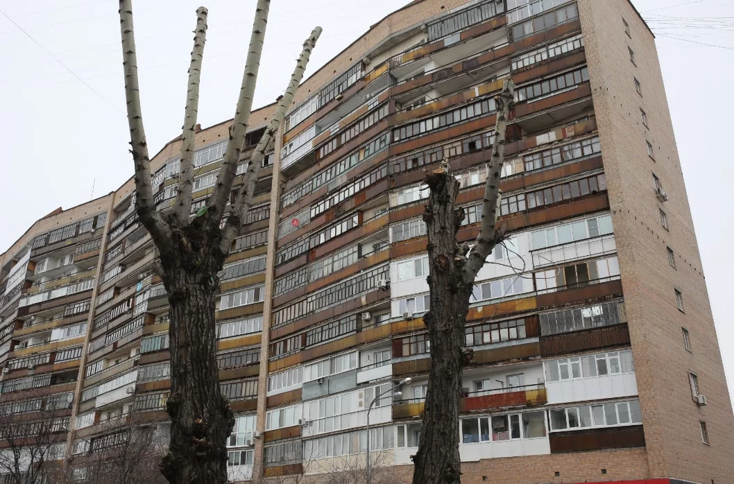 Денис Моргунов / URA.RU