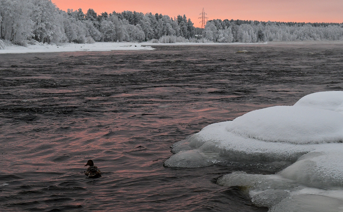Александр Гальперин / РИА Новости
