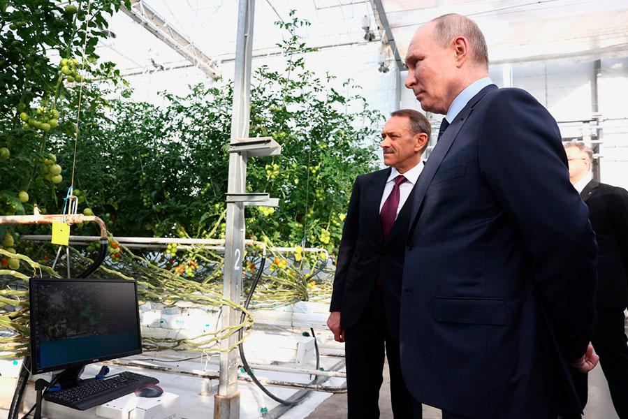 Владимир Путин во время посещения тепличного комплекса &laquo;Солнечный дар&raquo; агропромышленного холдинга &laquo;ЭКО-культура&raquo;, 2024 год