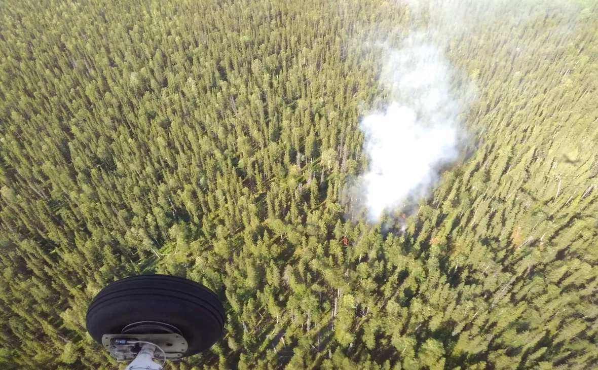 Минприроды Карелии / vk.com