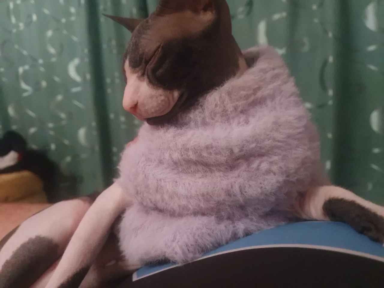 РБК Приморье