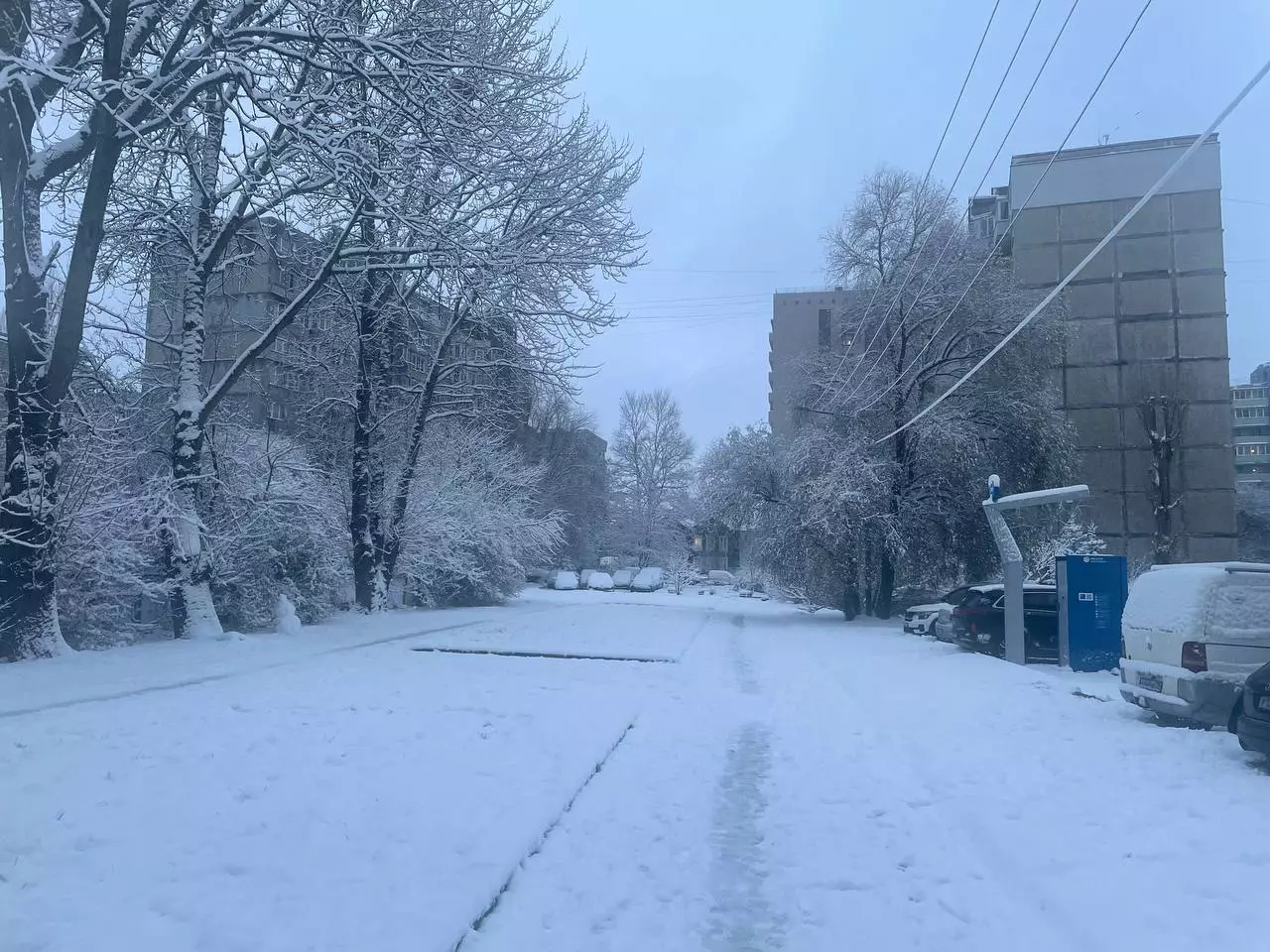 Марина Маркевич