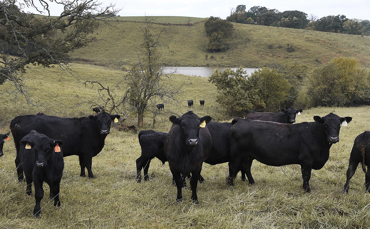 Joe Raedle / Getty Images