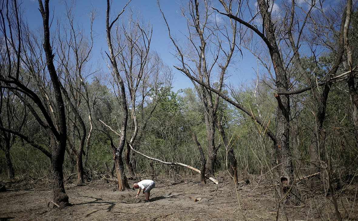 Ovidiu Micsik / Reuters