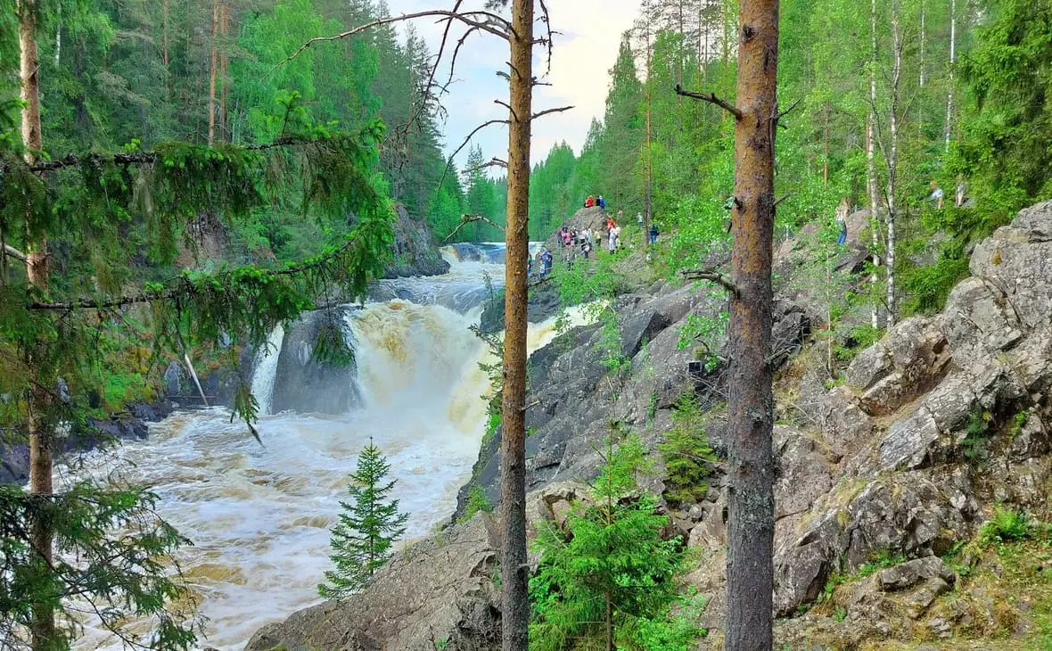 РБК Карелия