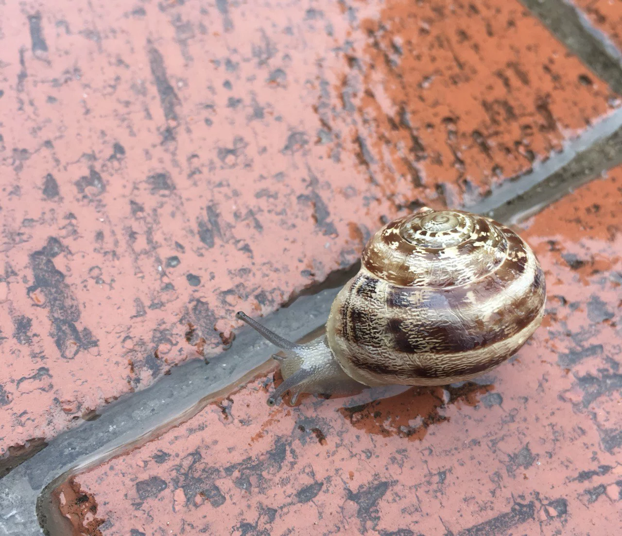 РБК Татарстан