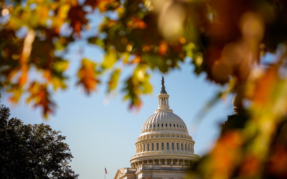 Фото:Andrew Harnik / Getty Images