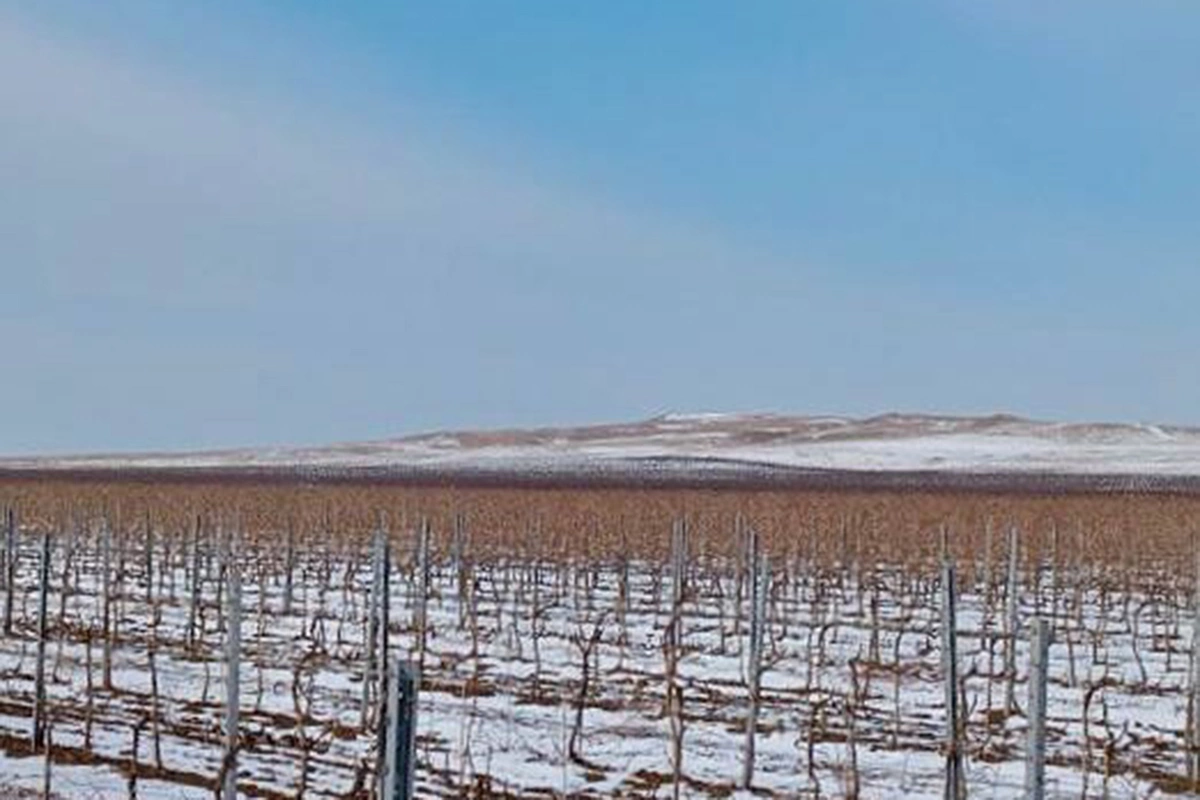 Вулканы, игристое и дичь: как провести выходные на Тамани